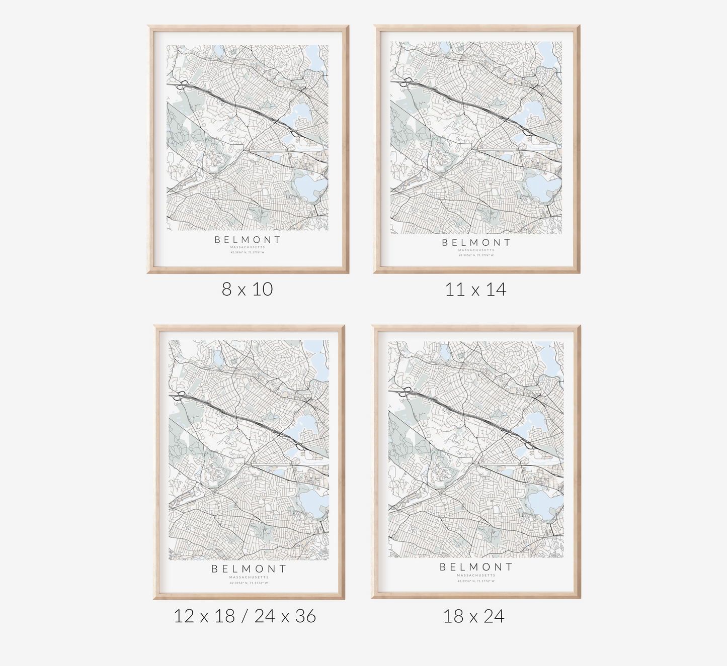 Belmont Massachusetts Map Print