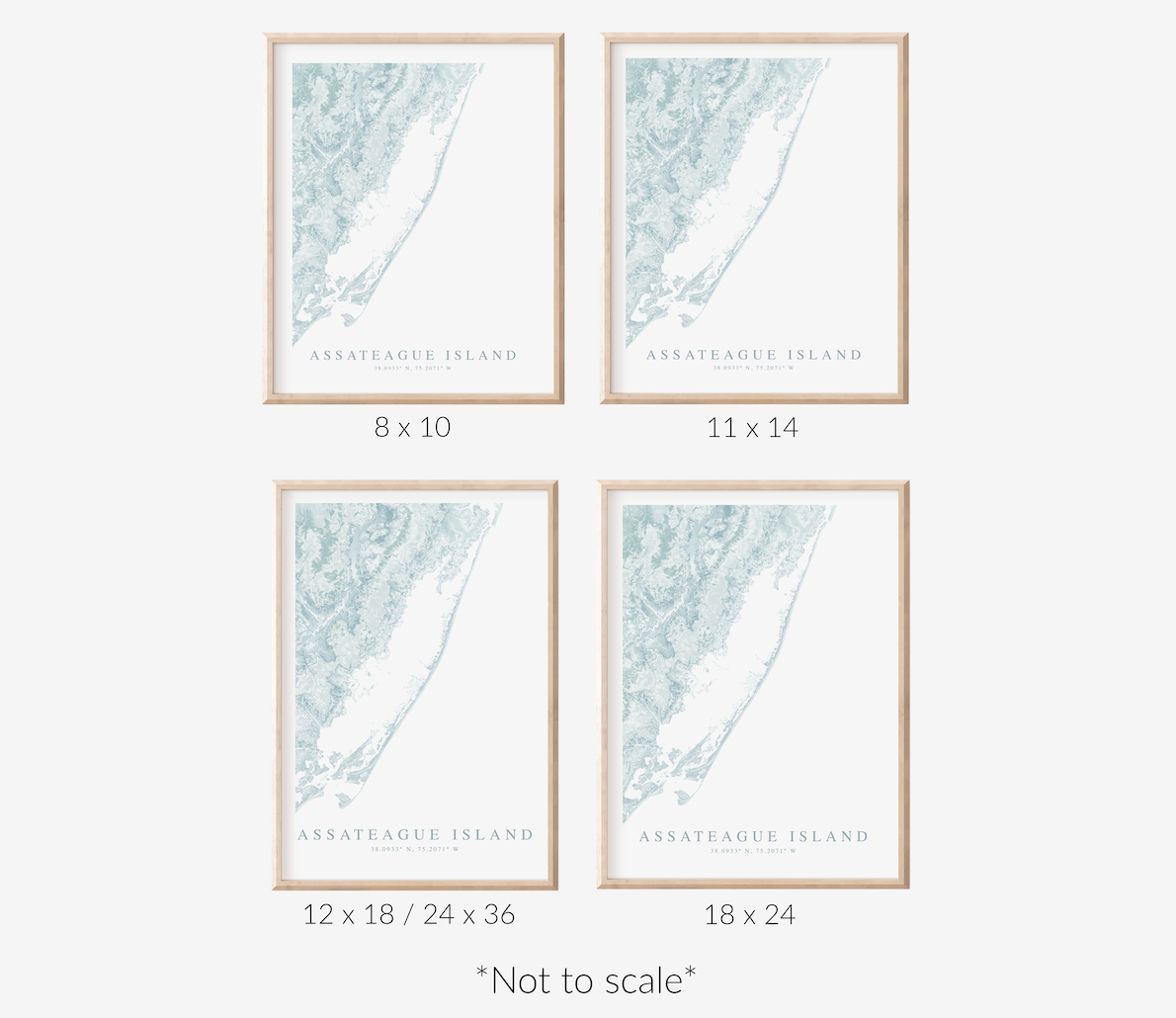 Assateague Island Map Print