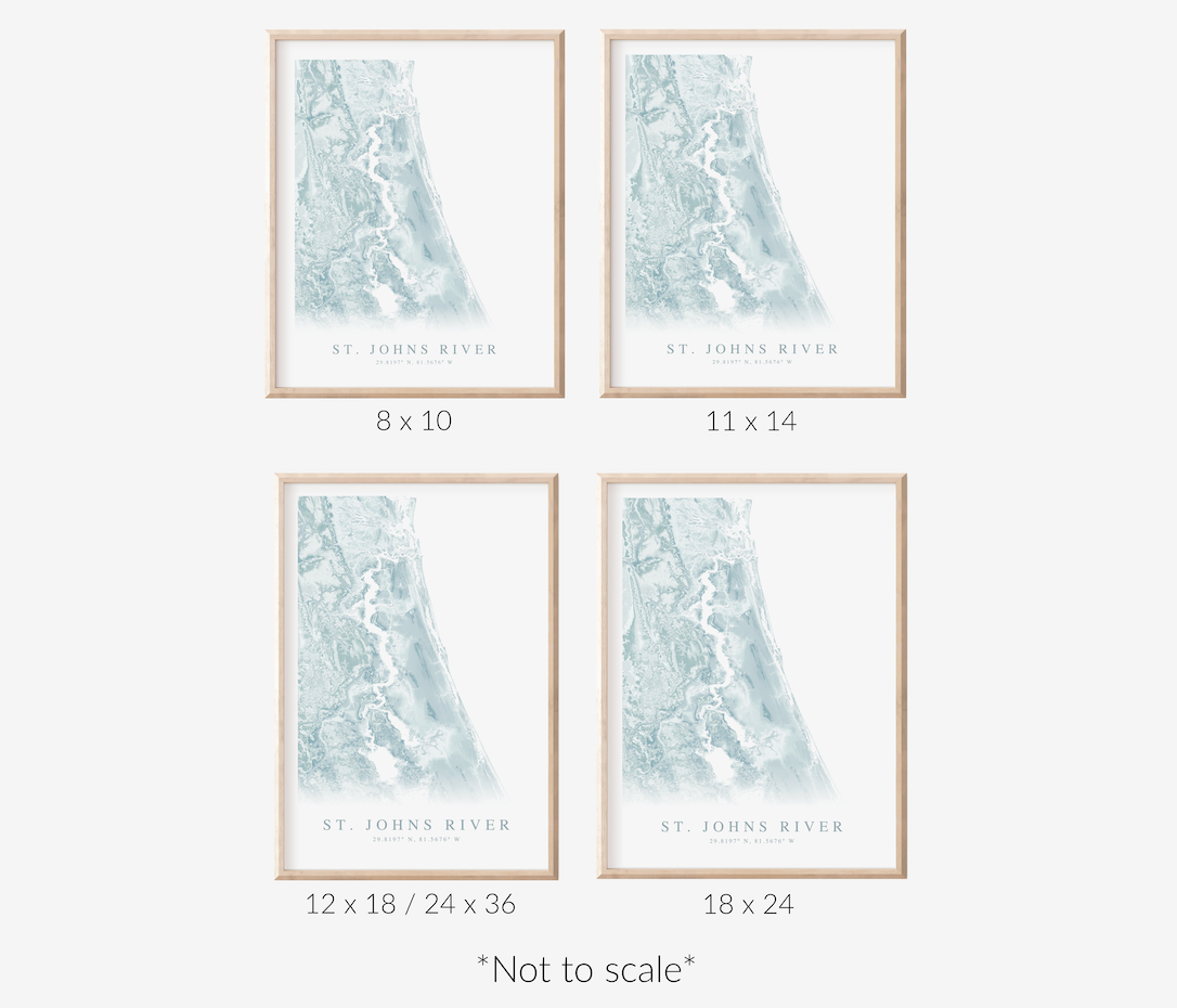 St. Johns River FL Map Print