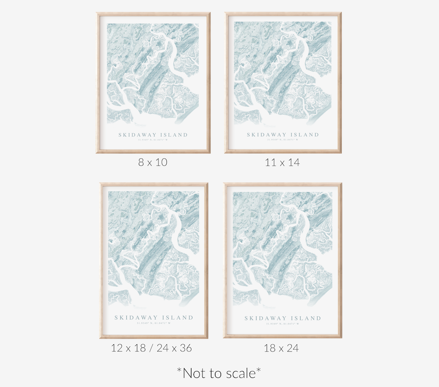 Skidaway Island Map Print