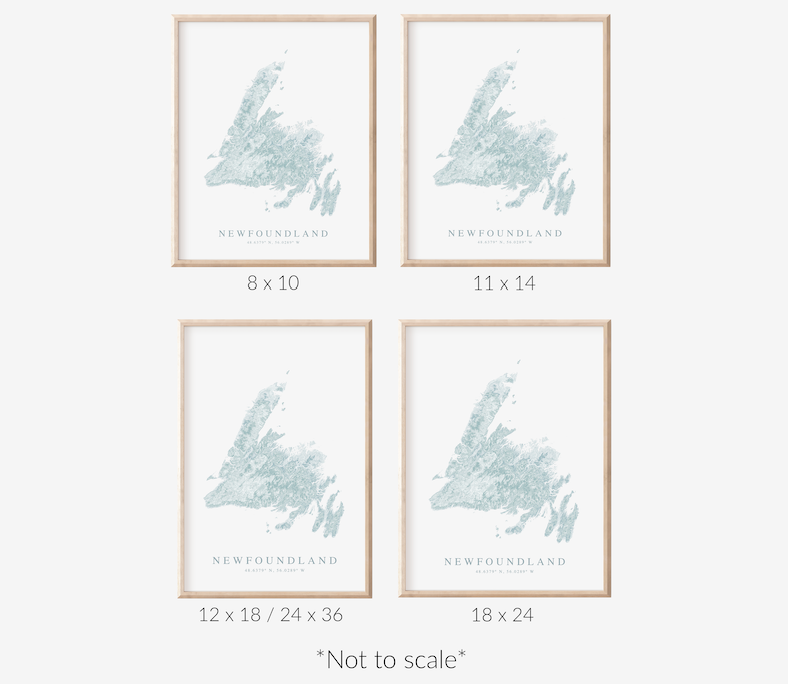 Newfoundland Map Print