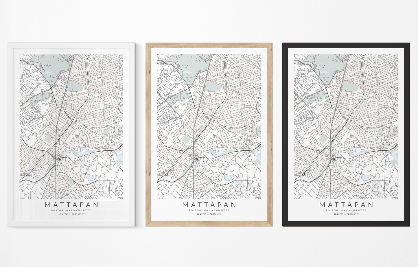 Mattapan Map Print