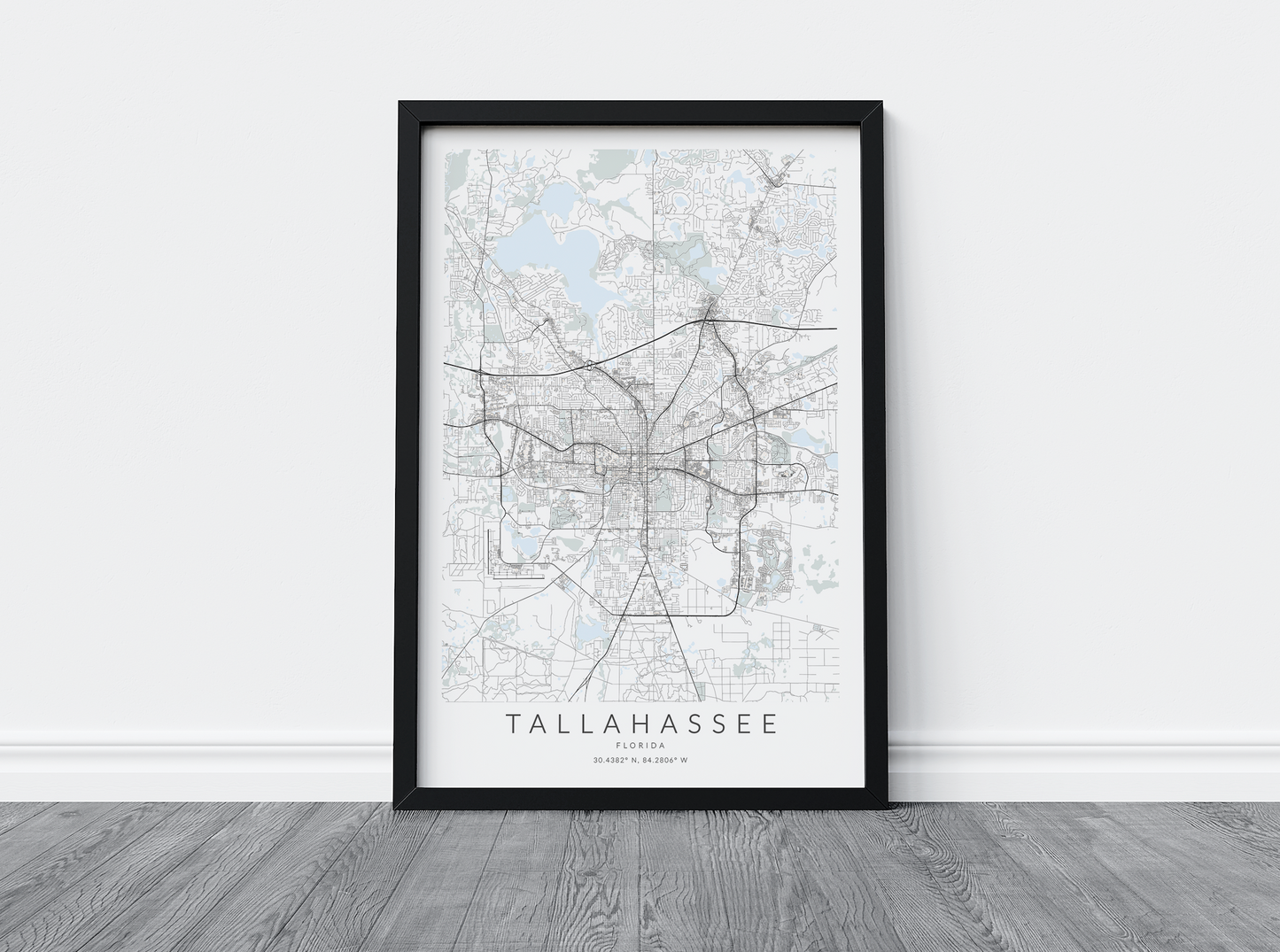 Tallahassee Map Print