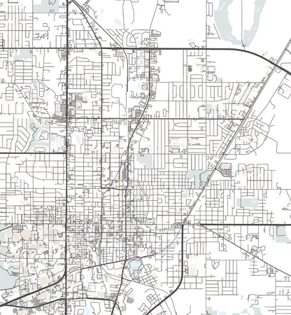 Gainesville Map Print