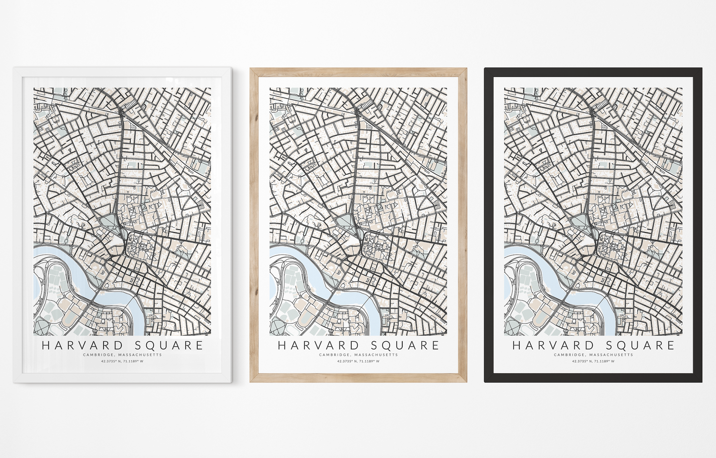 Harvard Square Map Print