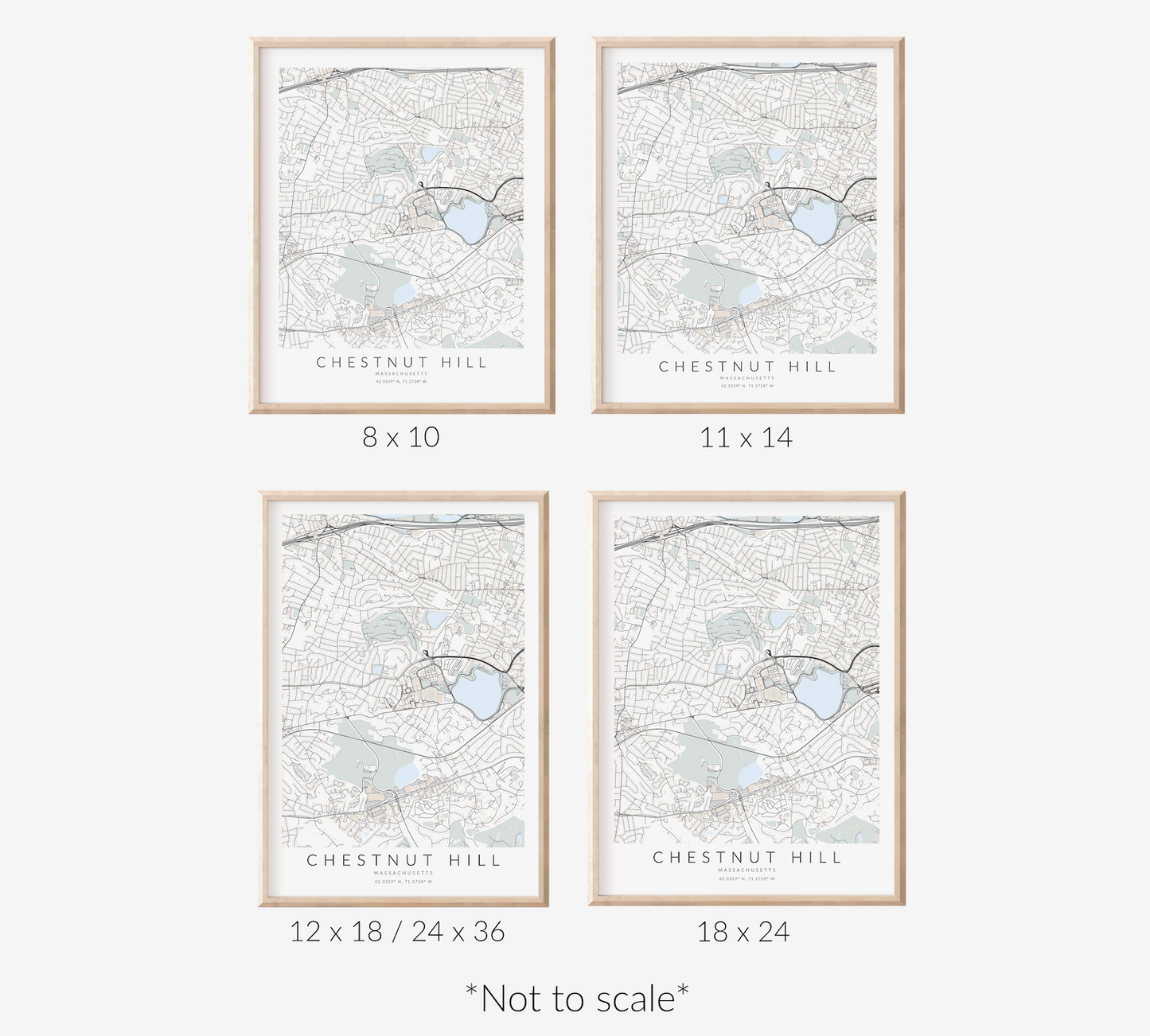 Chestnut Hill Map Print