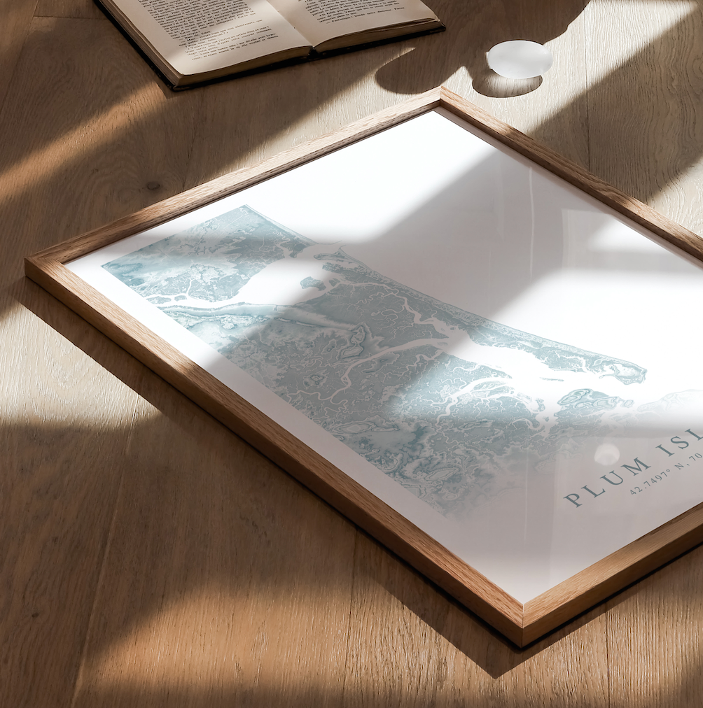 Plum Island Map Print