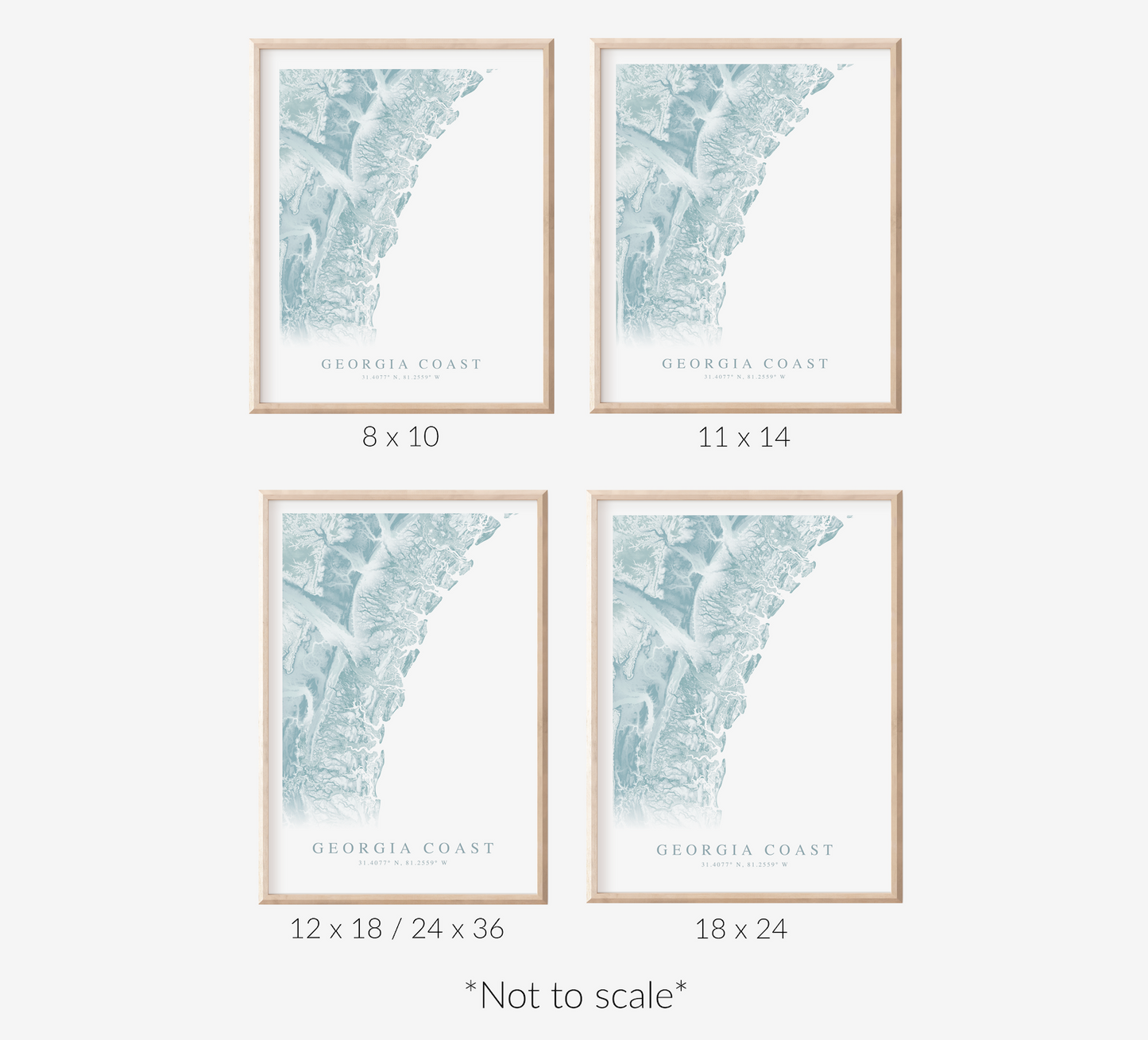 Georgia Coast Map Print