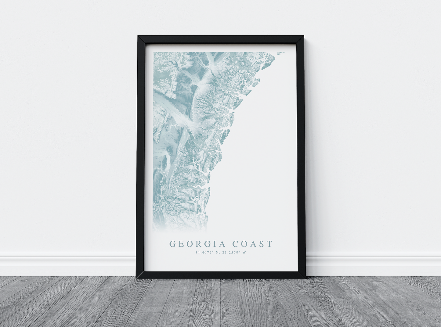 Georgia Coast Map Print