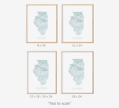 Illinois Map Print