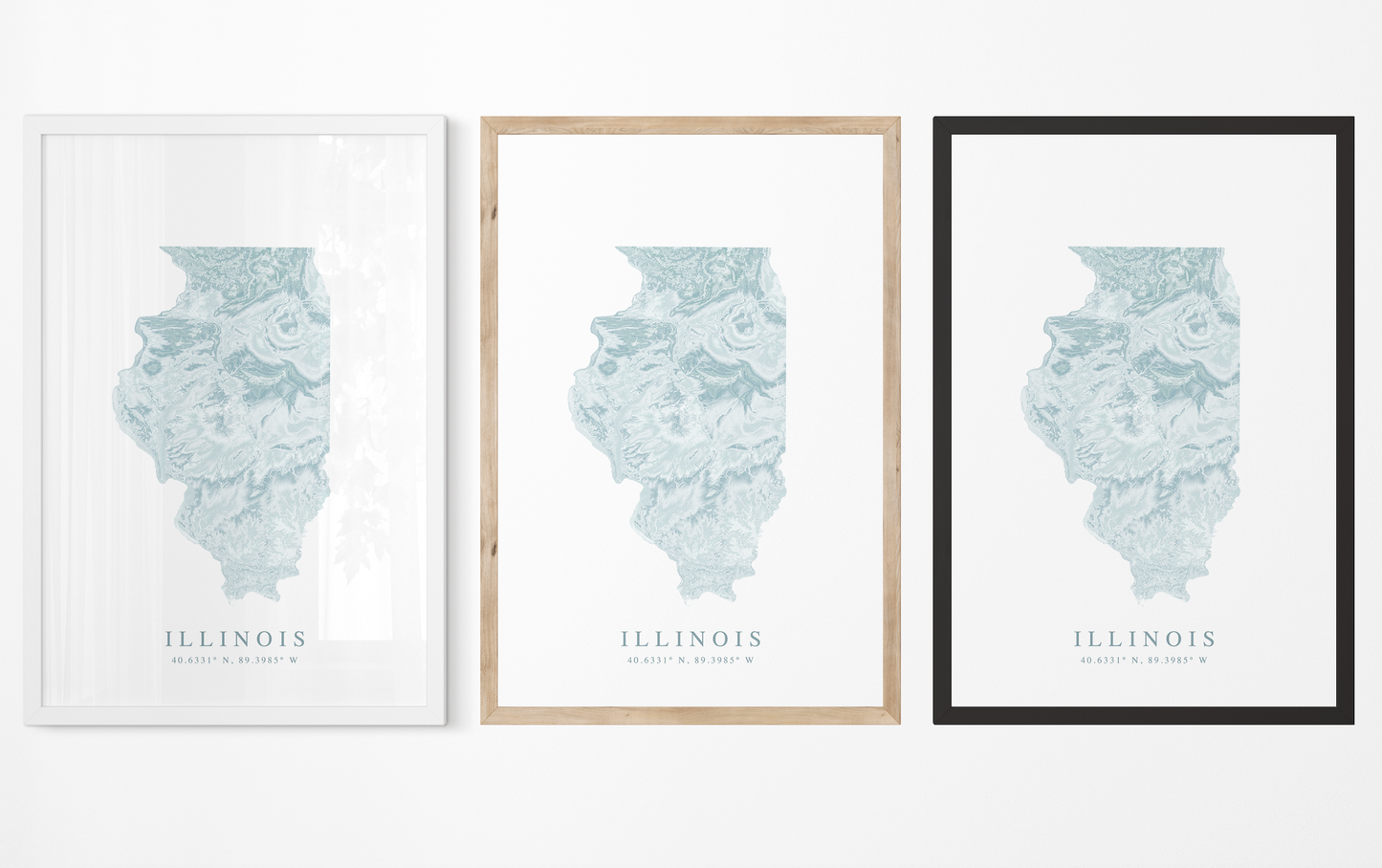 Illinois Map Print