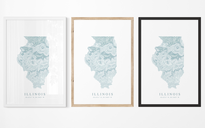 Illinois Map Print