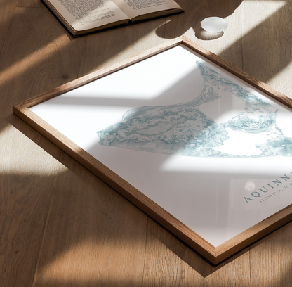 Aquinnah Map Print