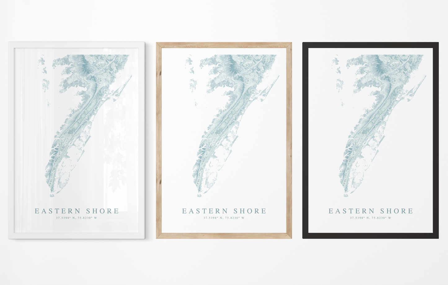 Eastern Shore VA Map Print