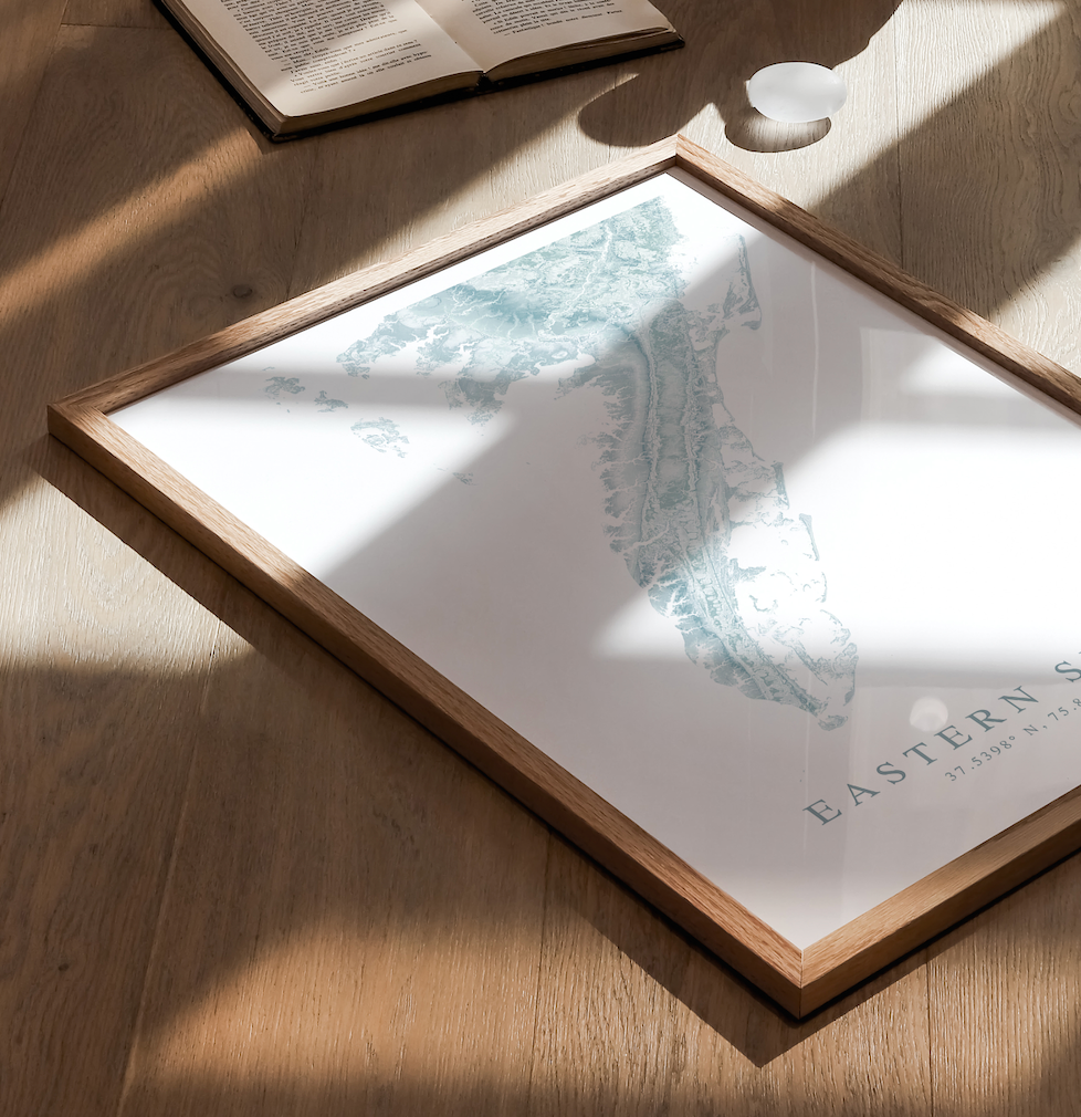 Eastern Shore VA Map Print