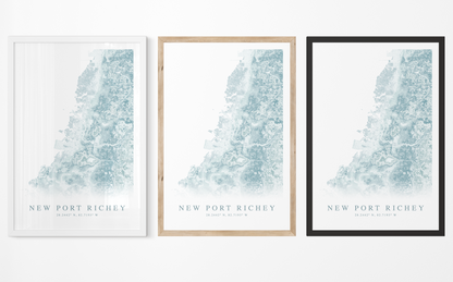 New Port Richey Map Print