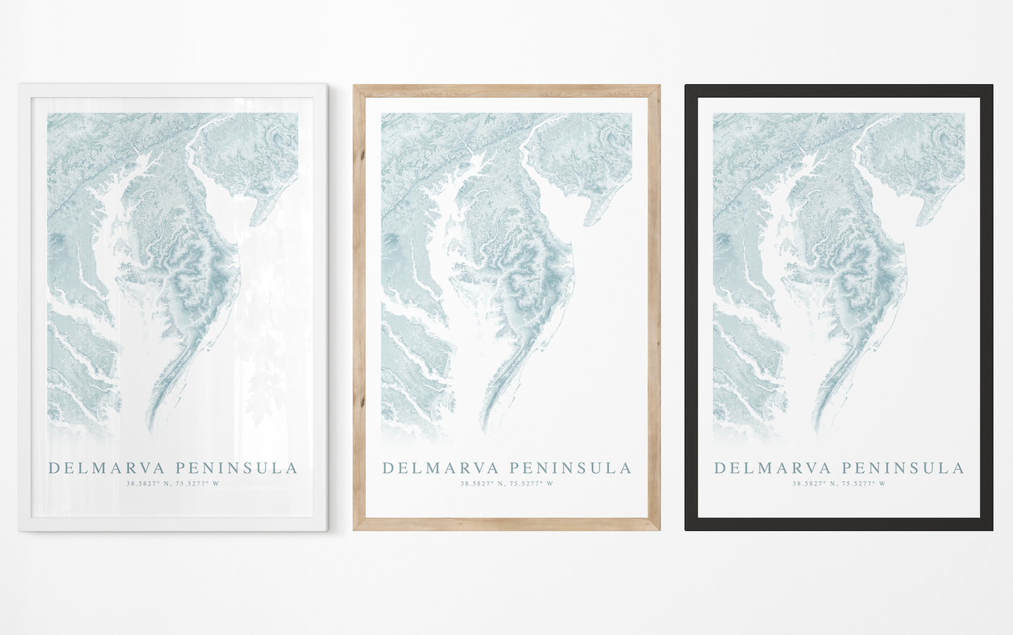 Delmarva Peninsula Map Print
