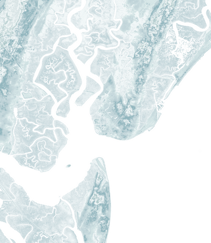 Golden Isles GA Map Print