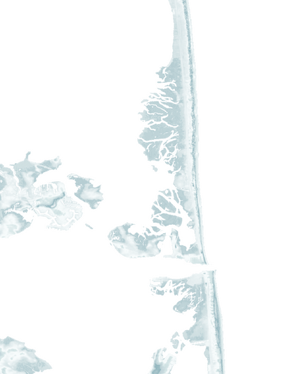 Delaware Beaches Map Print