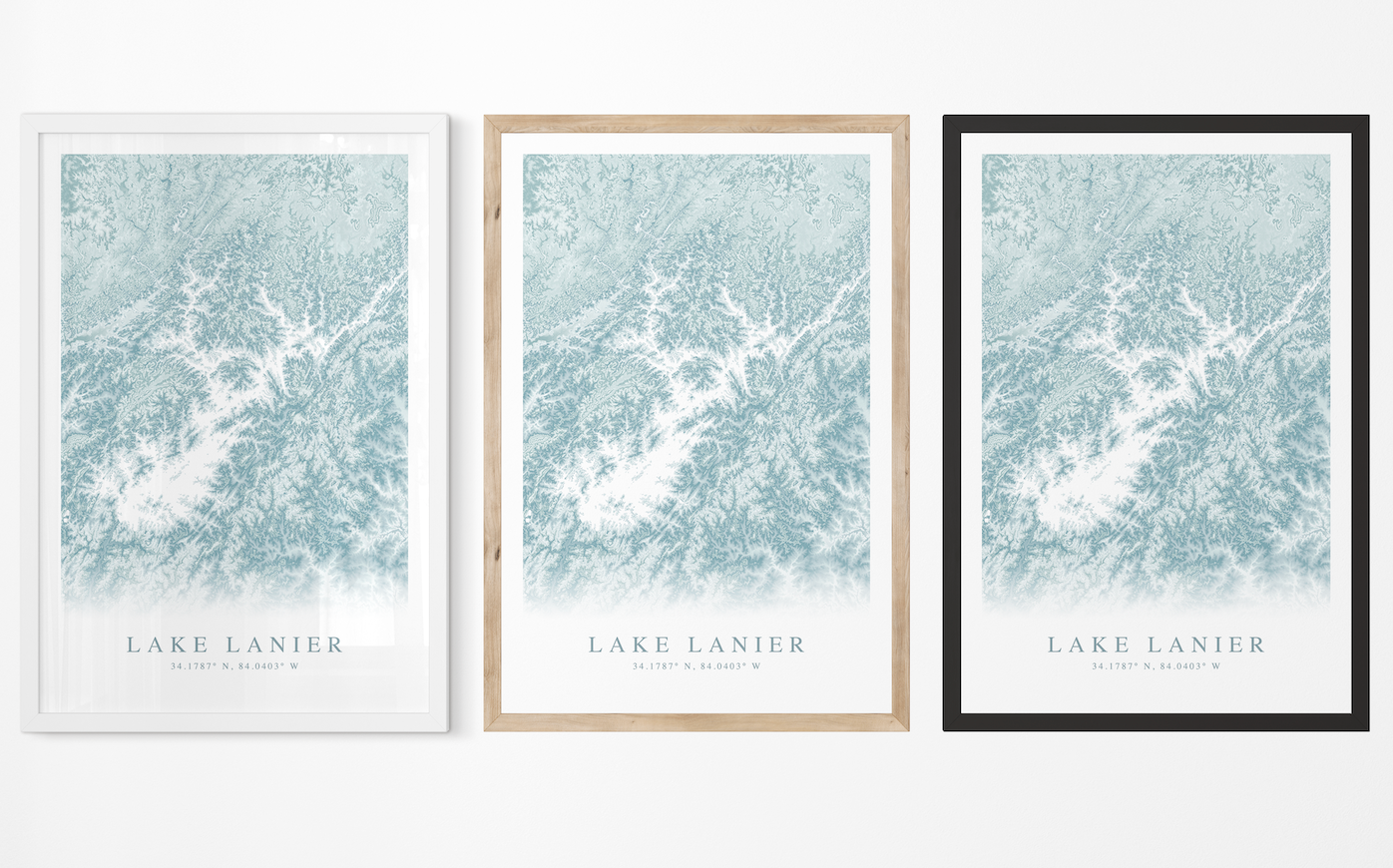 Lake Lanier Map Print