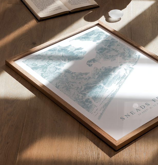 Sneads Ferry Map Print
