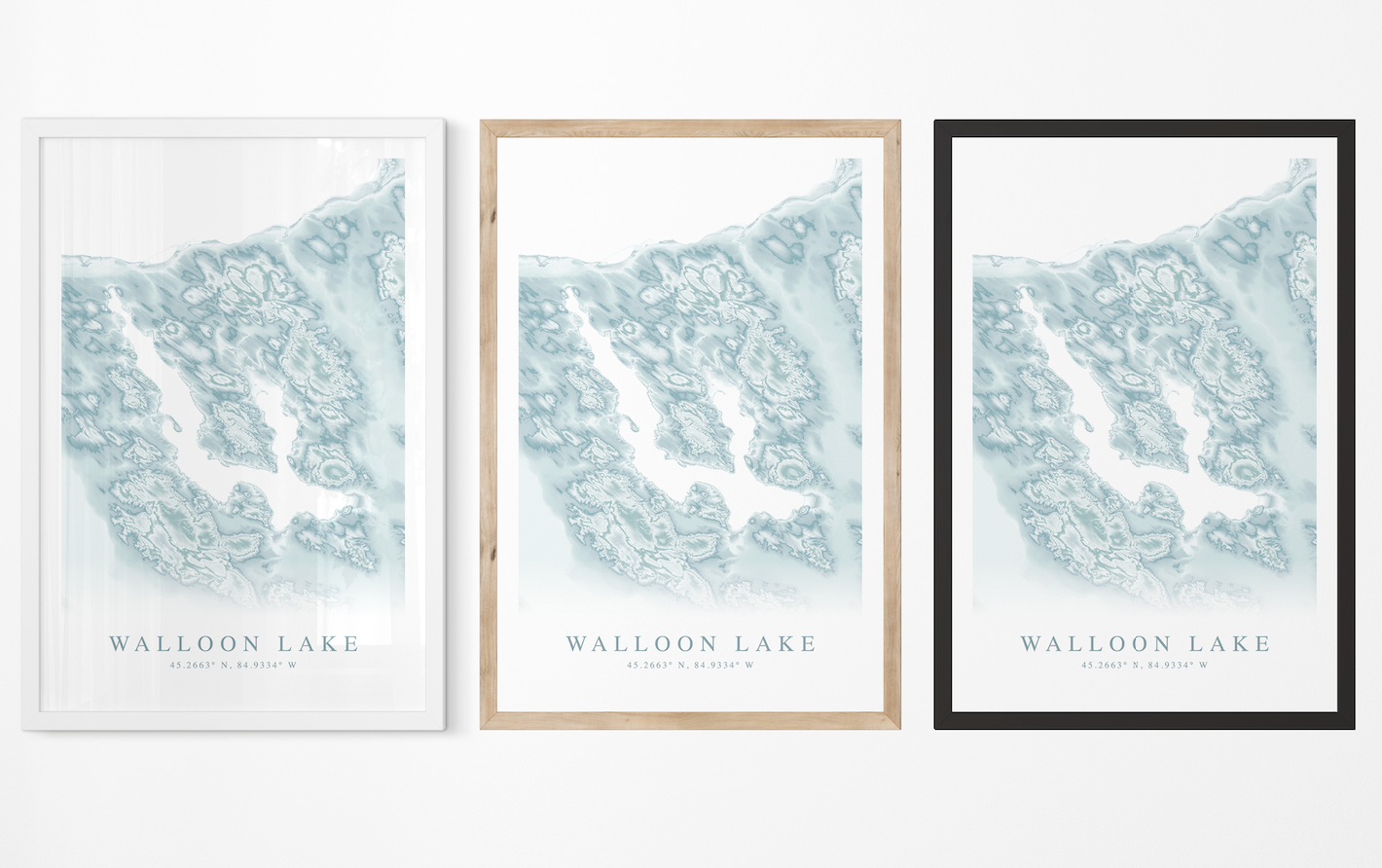 Walloon Lake Map Print