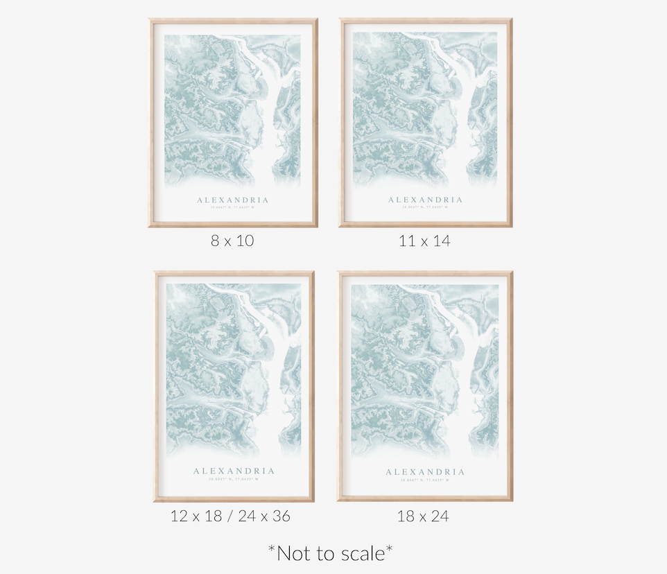 Alexandria VA Map Print