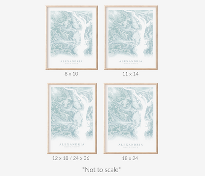 Alexandria VA Map Print