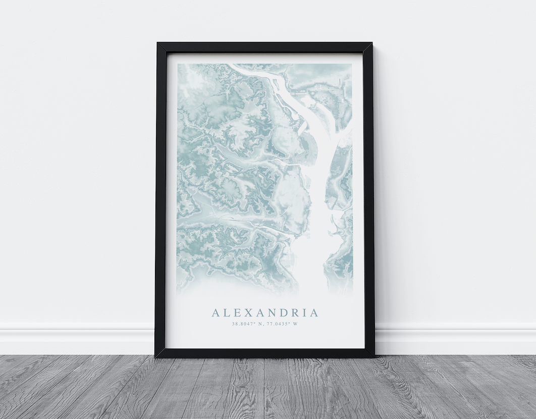 Alexandria VA Map Print