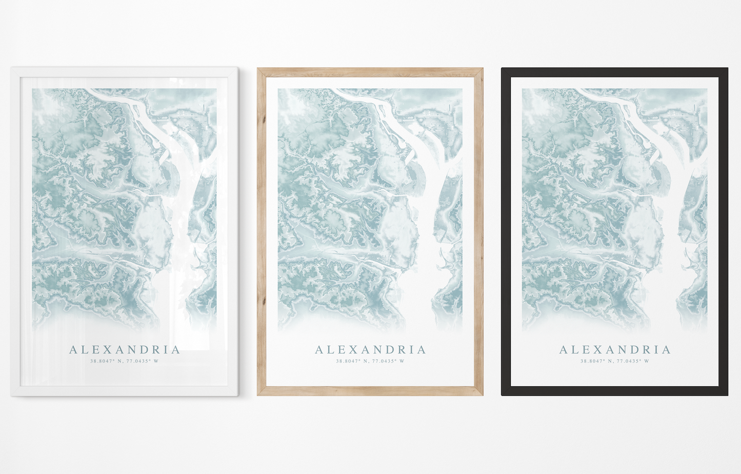 Alexandria VA Map Print