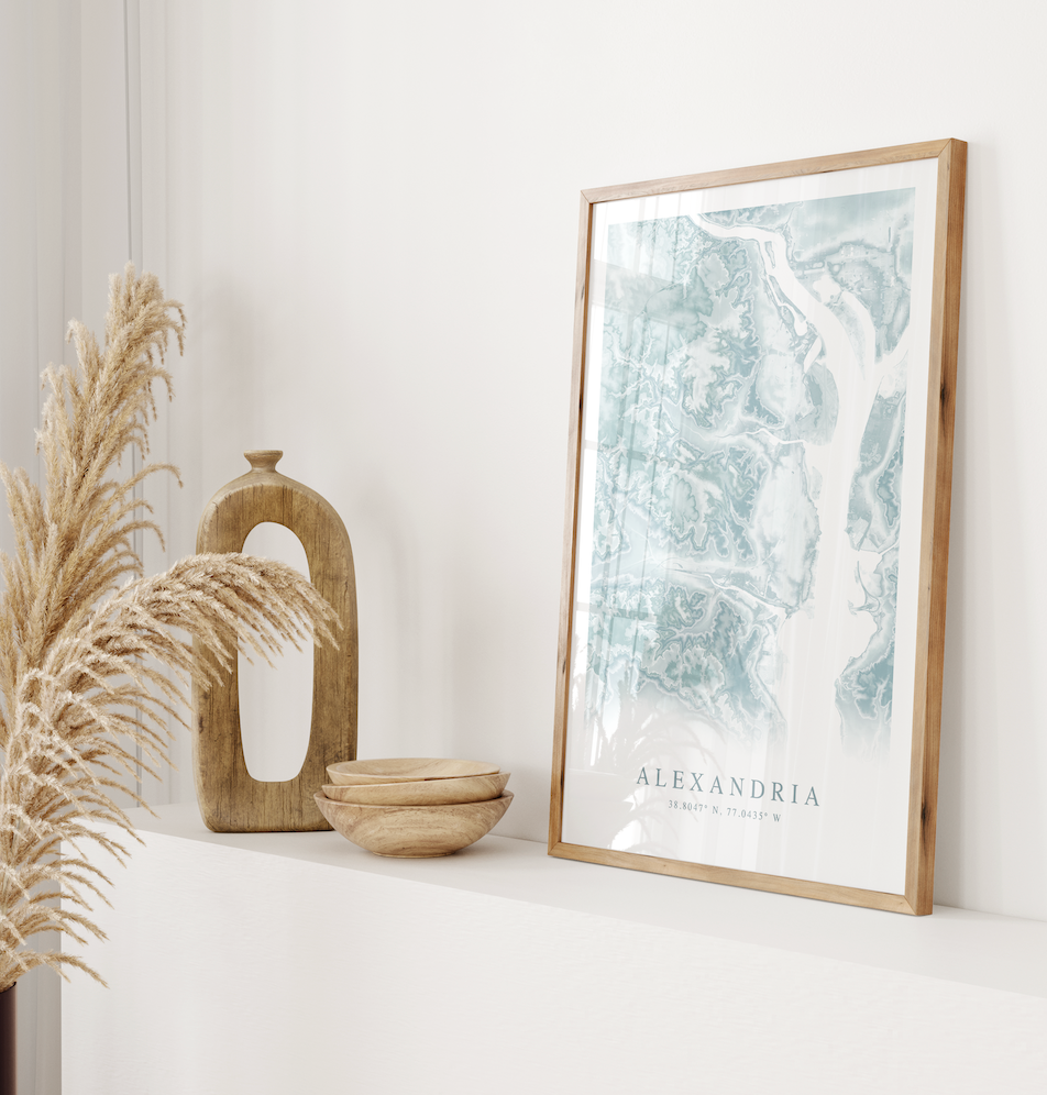 Alexandria VA Map Print