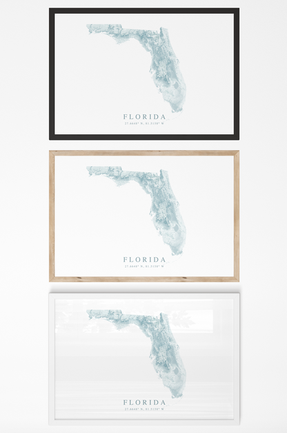Florida Map Print Landscape