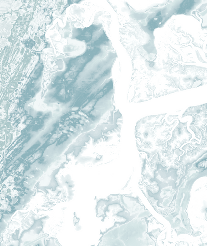 Lady's Island Map Print