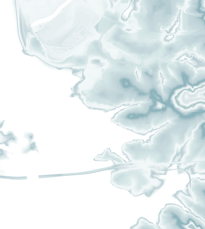 Clemson Map Print