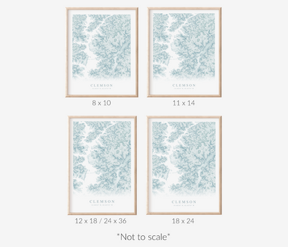 Clemson Map Print