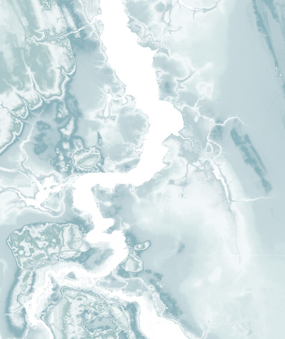 St. Johns River FL Map Print