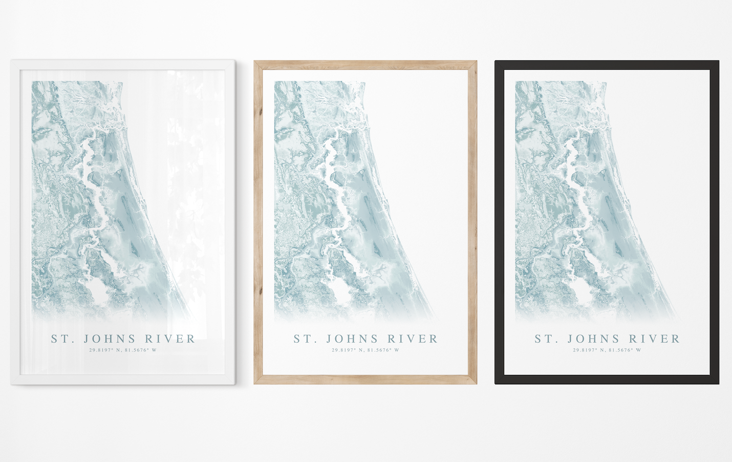 St. Johns River FL Map Print