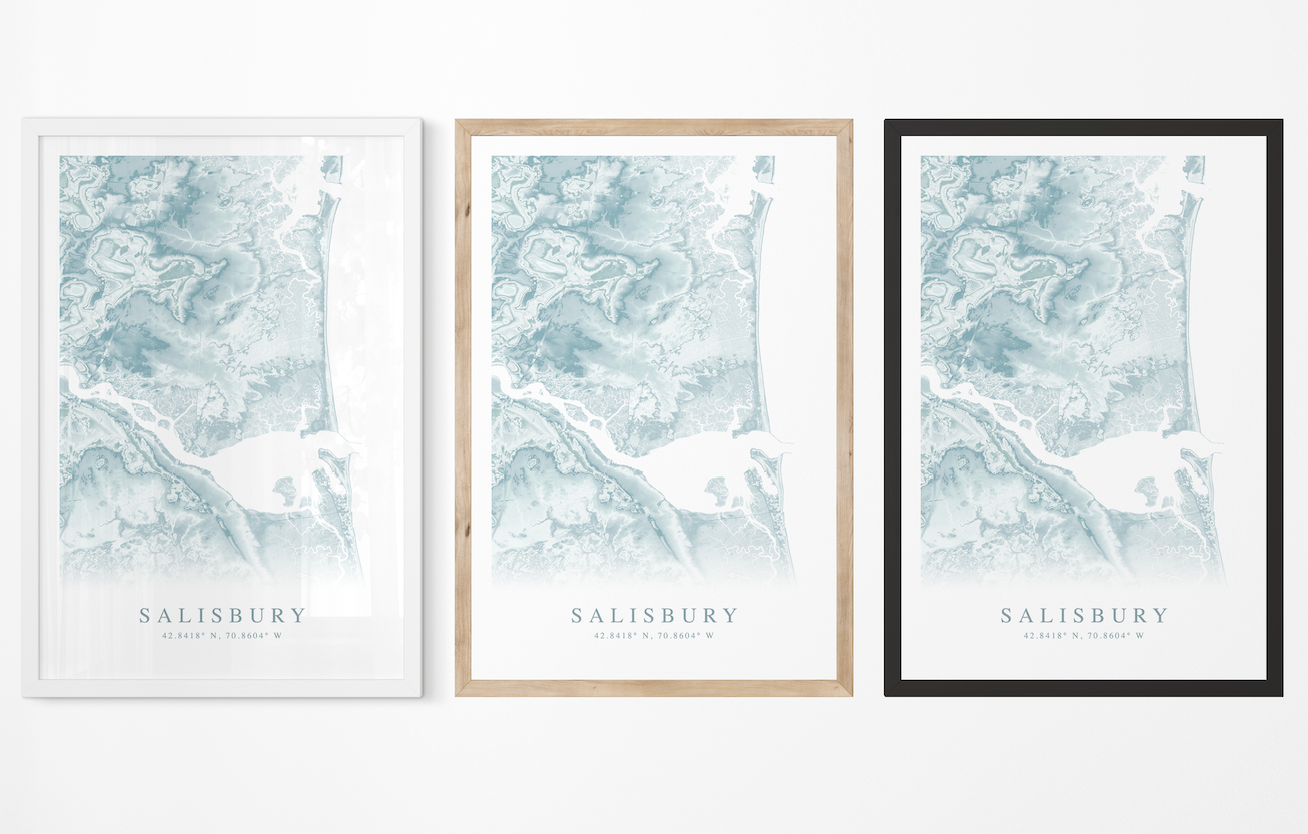 Salisbury Map Print