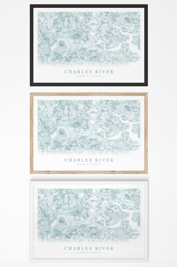 Charles River Map Print