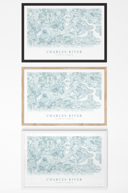 Charles River Map Print
