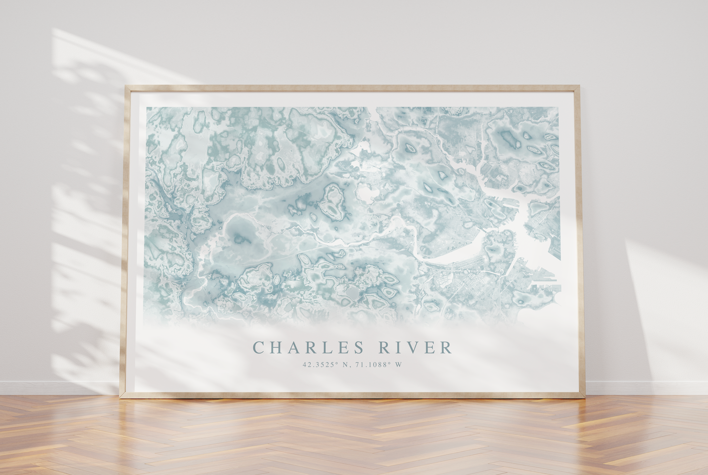 Charles River Map Print