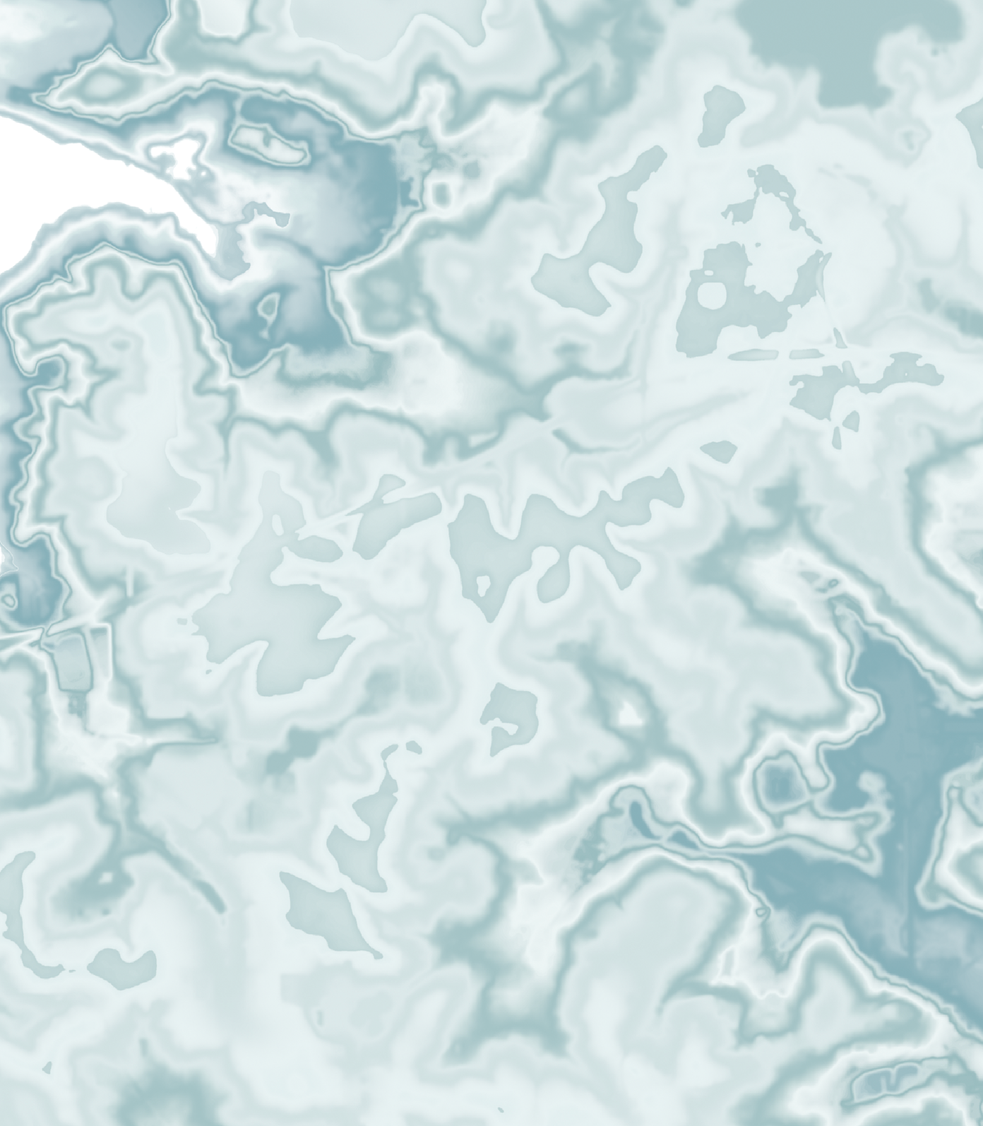 Tallahassee Map Print