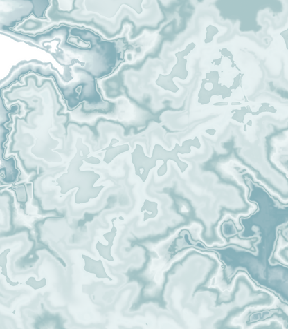 Tallahassee Map Print