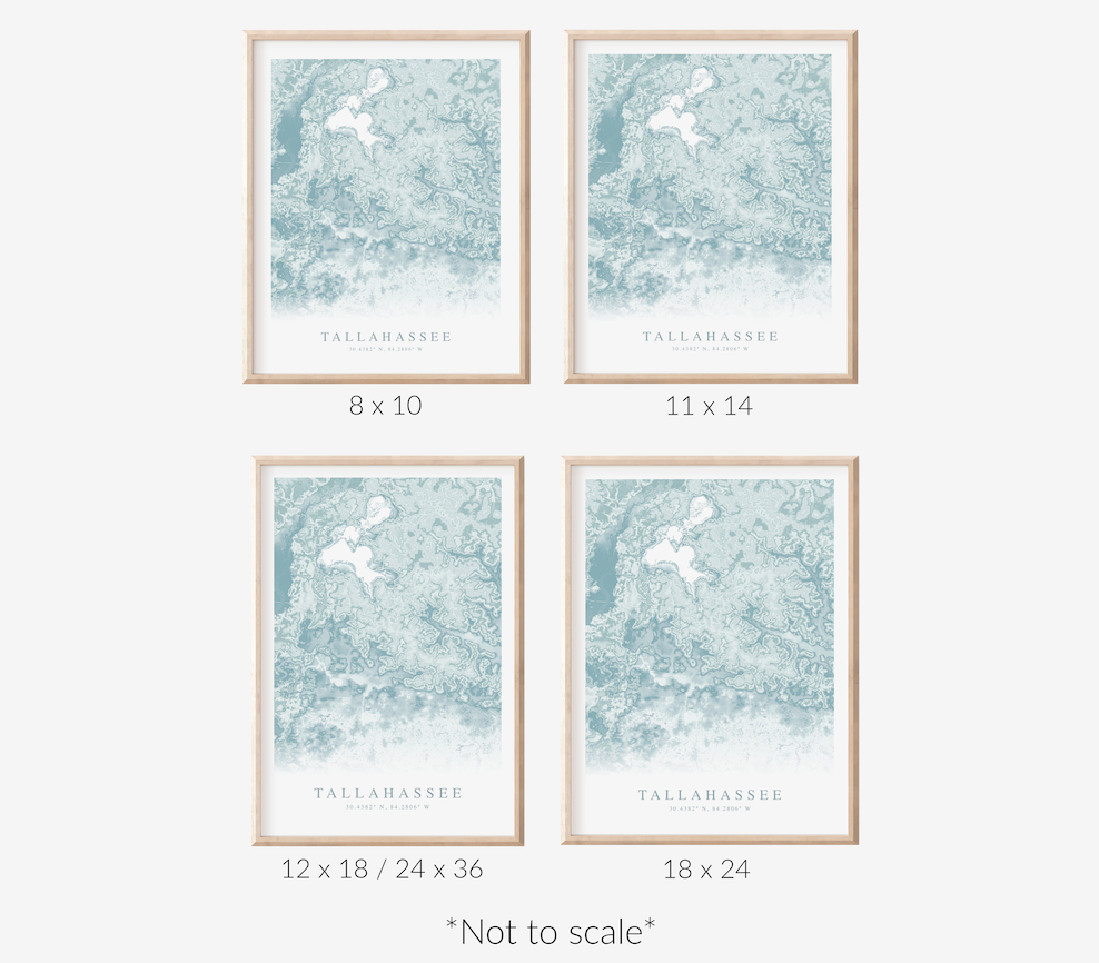 Tallahassee Map Print