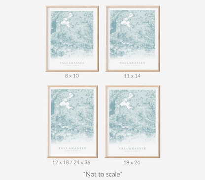 Tallahassee Map Print