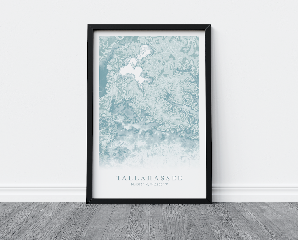 Tallahassee Map Print