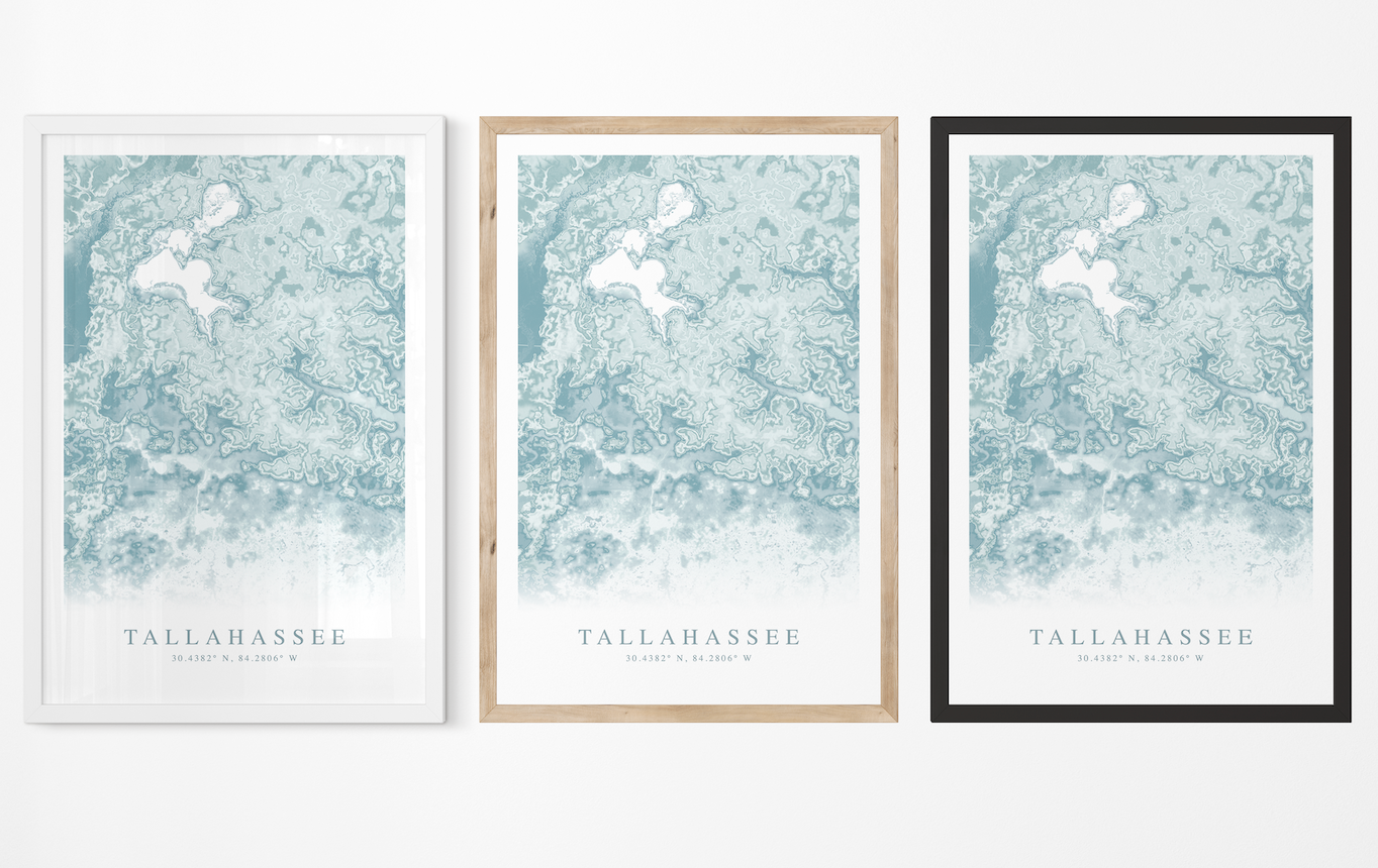 Tallahassee Map Print