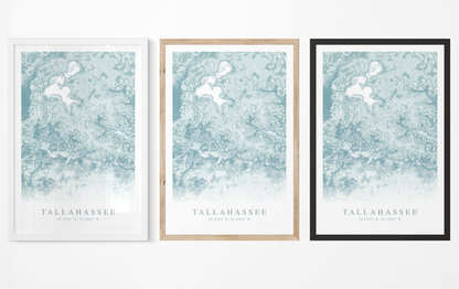 Tallahassee Map Print