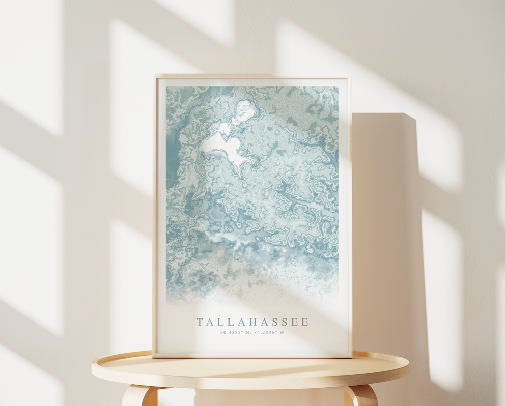 Tallahassee Map Print