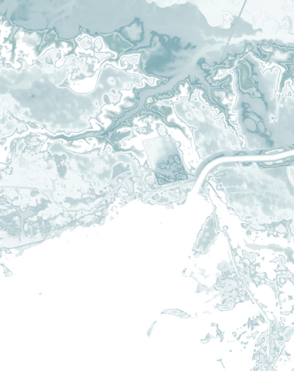 Lake Moultrie Map Print